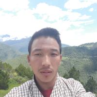 Profile picture for user Thubten Dorji_1