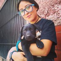 Profile picture for user Fernanda Mora Estevez_1