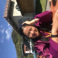 Profile picture for user karmayangdon2000