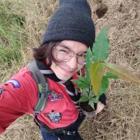 Profile picture for user mapheeel