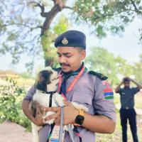 Profile picture for user rahul052