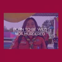 Profile picture for user Sony James_1