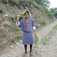 Profile picture for user scoutdamchoey1994