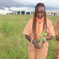 Profile picture for user linnet festus 