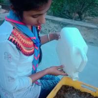 Profile picture for user Manisha Salvi_1