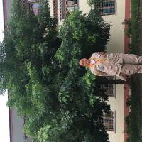 Profile picture for user kencho lhamo_1