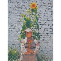 Profile picture for user gatshellhendup