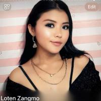 Profile picture for user zangmoloten@gmail.com