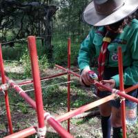 Profile picture for user yannis Melgoza Monter_1