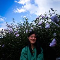 Profile picture for user phuntsho seldon