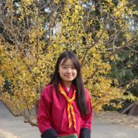 Profile picture for user YangchenDema_1