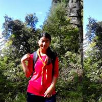 Profile picture for user nnorbu llhamo_1