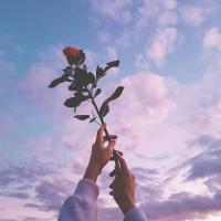 Profile picture for user anugi 