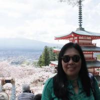 Profile picture for user Claudia Yukie Okabayashi_1