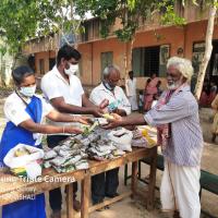 Profile picture for user helen lilly chandra kumari j