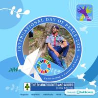 Profile picture for user naveen 