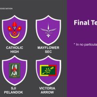 Final Team for Scout section