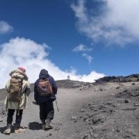The return Trip from Uhuru peak to Marangu Gate. (SUMMIT SECTION)