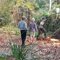 Reviewing the aftermath 