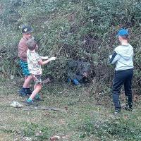 Removal of a strangling vine