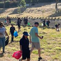Cubs and parents move over river bank collecting litter