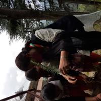 Planting trees to better world