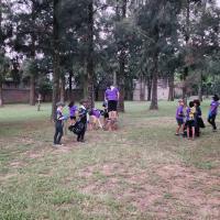 See how beautiful our surroundings look!