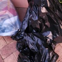 What a lot we've got!