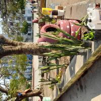 una vez concluida la tarea...