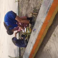 construyendo un mundo mejor