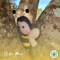 71/MG Ludovico Pavoni Scout Group from Pouso Alegre/MG facebook post about this activity