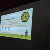 The relationship between Bees, Scout and Fleur-de-lys