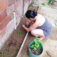 Esta  fue una de las primeras fotos tomadas trabajando en esta idea, empezamos sembrando varias especias y tubérculos, para poder usarlos de alimento.