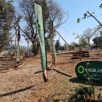 This image was taken from the same perspective as the first image