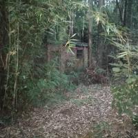 A small store room in the forest
