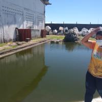 Tanque de peixes no Brasstubos