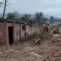 The same store room freed from the invase forest 