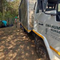 Indigenous trees being delivered