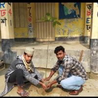 Planting trees in a primary school campus. 