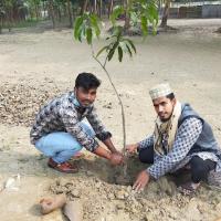 Planting trees in a students house.