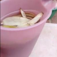 Composto de cascas de bananas e água