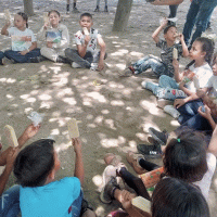 entrega de paletas de Cebada. 