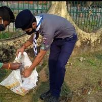 While collecting plastics