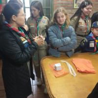 Discussão Ramo escoteiro e matilhas