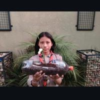 Post del video en donde la exploradora explica la importancia de aprender a reutilizar el plastico