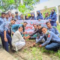 গাছ লাগানোর সময় 