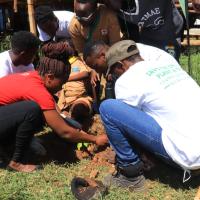 Planting a tree at the market centre with the environment officer 