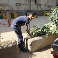 Protecting plants and cleaning the surrounding. 