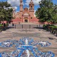 Flor de Lis con material recolectado