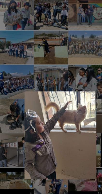 limpiando las instalaciones del refugio. limpiando areneros  